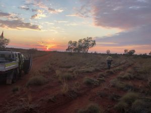 Lake Mackay near Alice Springs in the NT